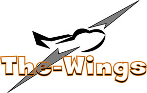 Nouveau logo du site the-wings.fr